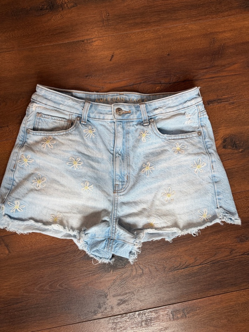 American Eagle Outfitters Light Blue Daisy Embroidered Denim Shorts